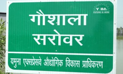 फलैदा गौशाला में 800 गोवंशों के लिए बेहतर सुविधाएं, हरियाली और वर्षा जल संचयन पर जोर